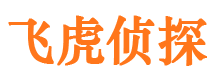 铜陵市侦探调查公司